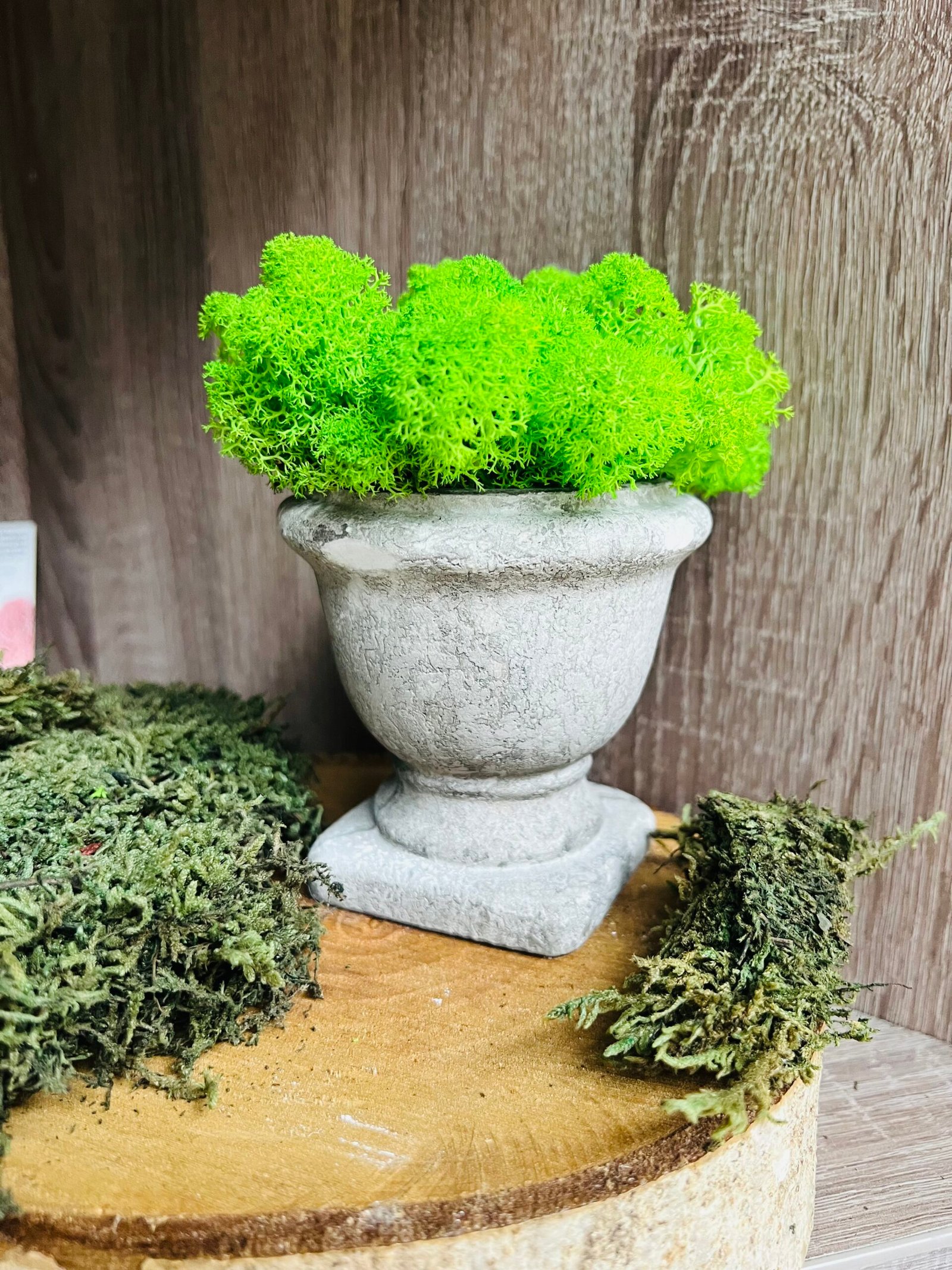 “Дъх от Олимп” със скандинавски мъх - Image 2