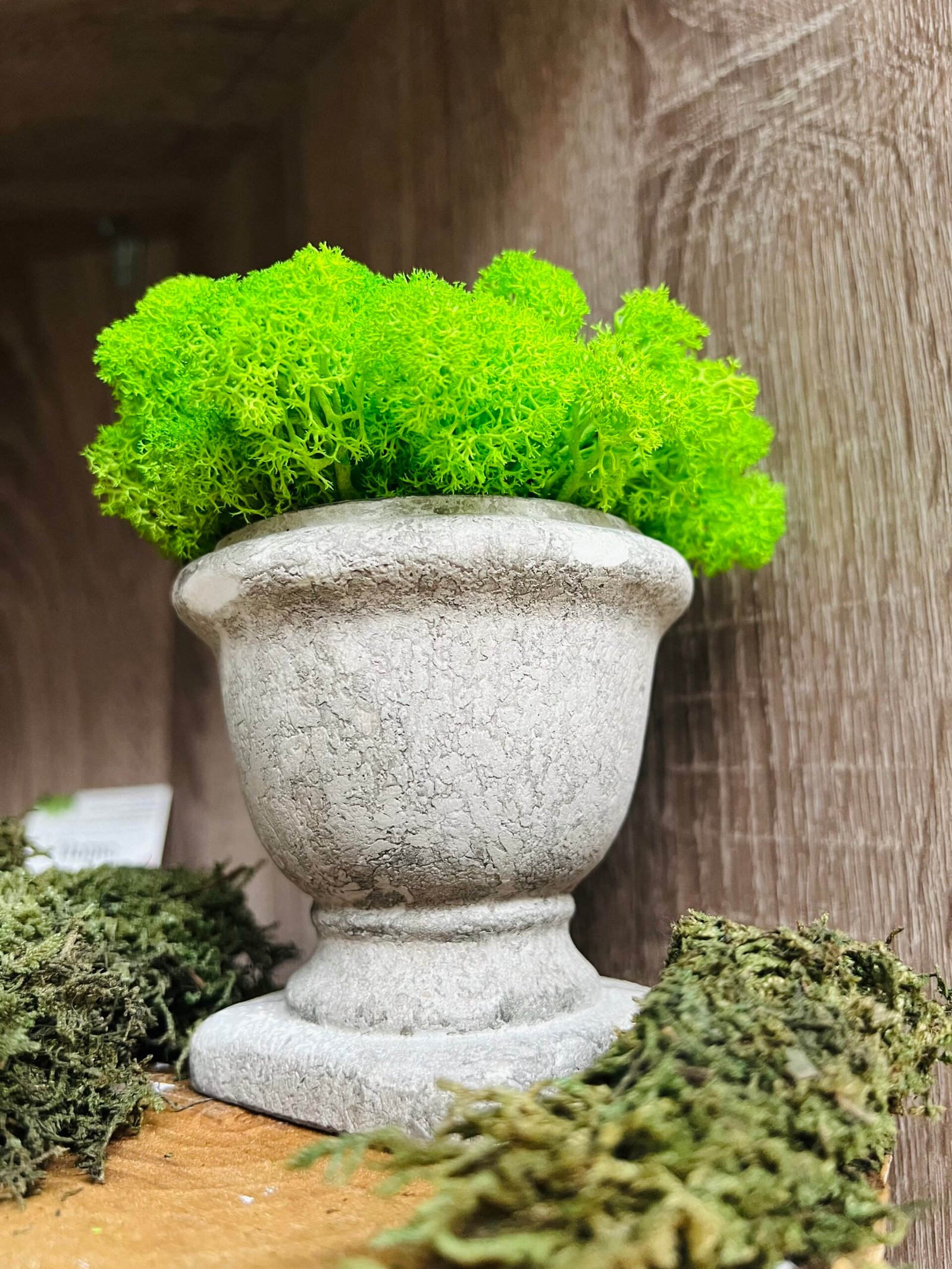 “Дъх от Олимп” със скандинавски мъх