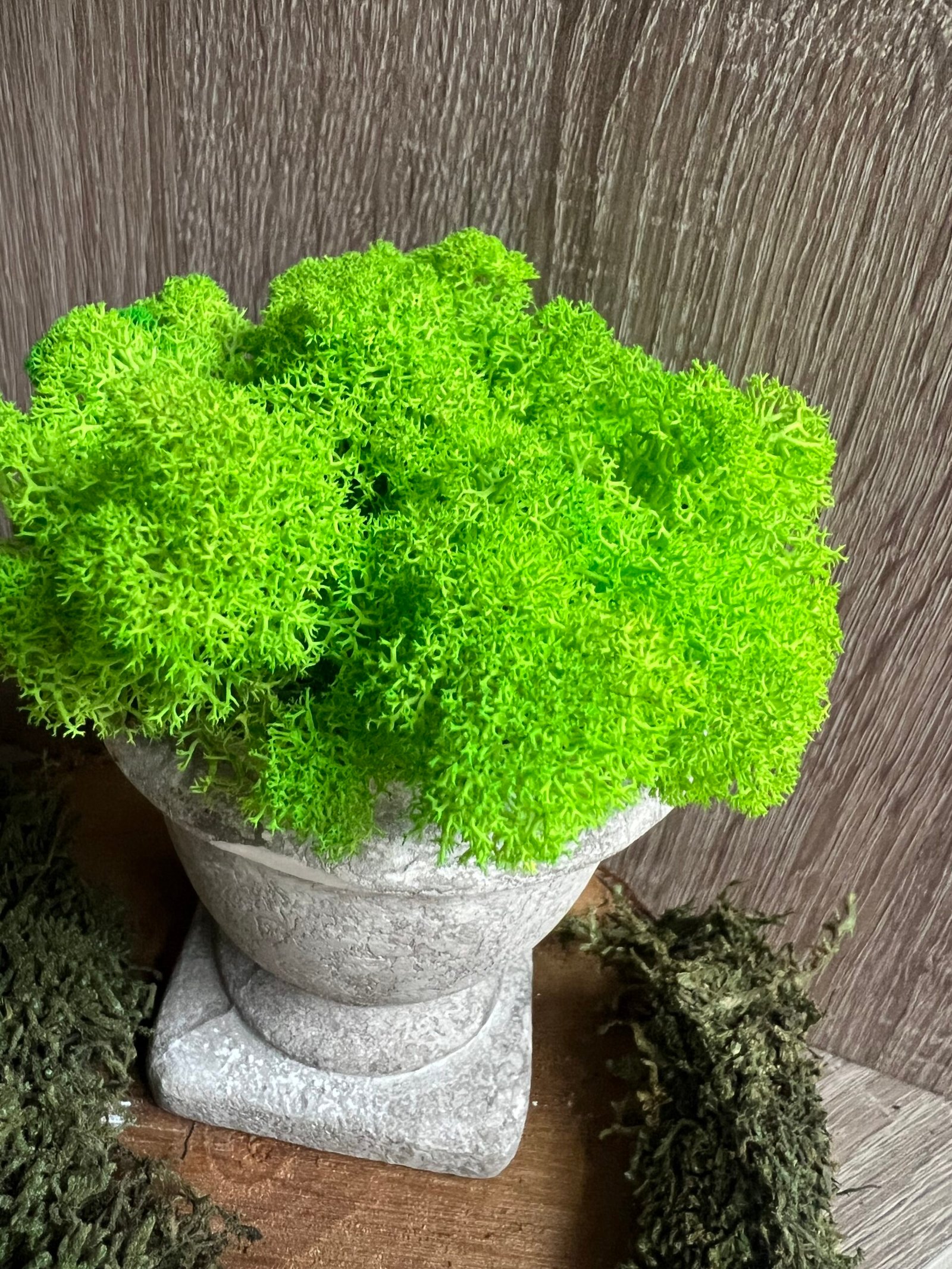 “Дъх от Олимп” със скандинавски мъх - Image 3