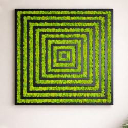 Квадратна безкрайност