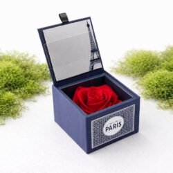 Роза „Paris Amour“