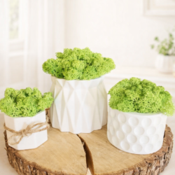 Керамични кашпи-Сет