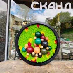 Кръг на хармонията